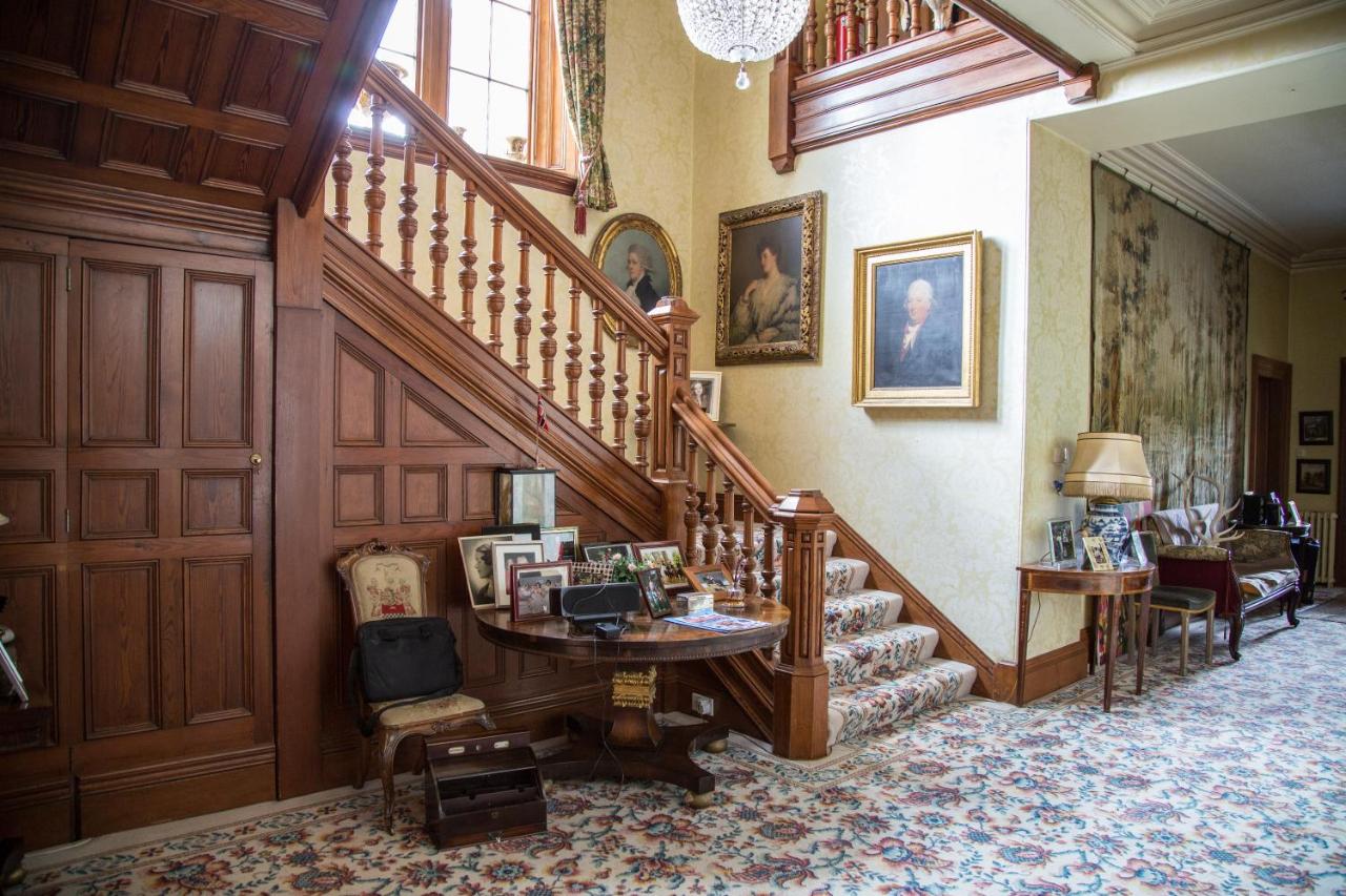 Client Project Gallery Avena Carpets Client Project Gallery Avena Carpets
